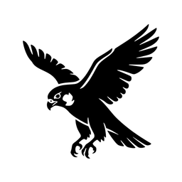 Peregrinus Observator