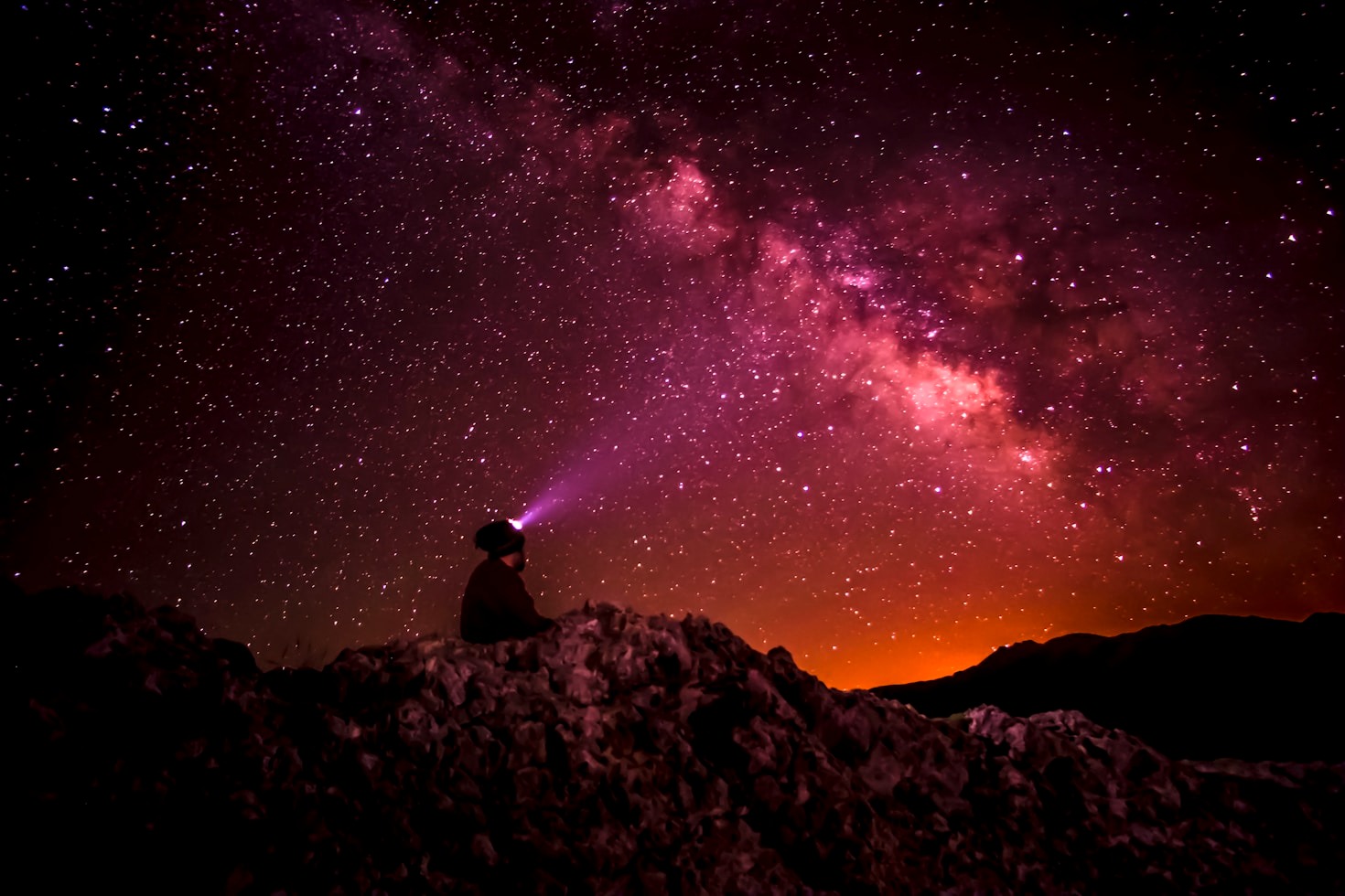 Perspectives on the Future of Humanity